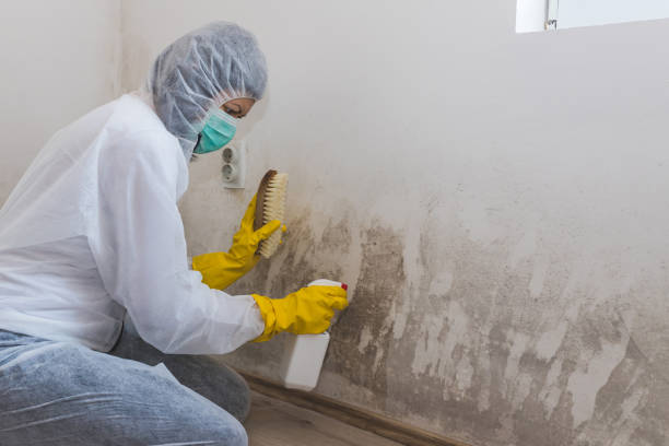 Best Crawl Space Mold Removal  in Rson, CA