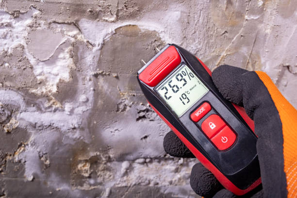 Best Crawl Space Mold Removal  in Rson, CA