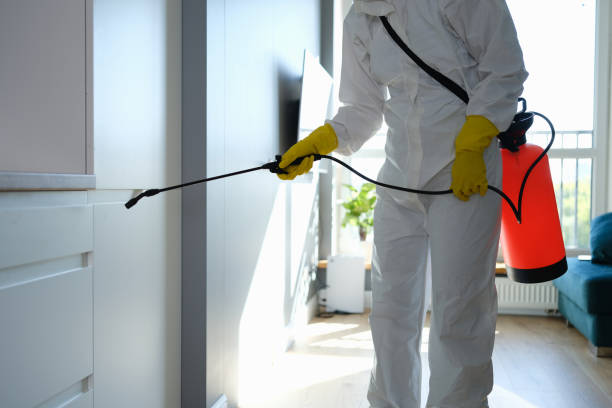 Best Mold Testing  in Rson, CA