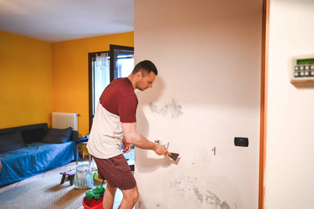 Best Commercial Mold Removal  in Rson, CA