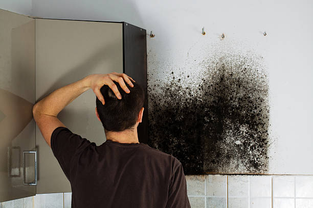 Best Residential Mold Removal  in Rson, CA